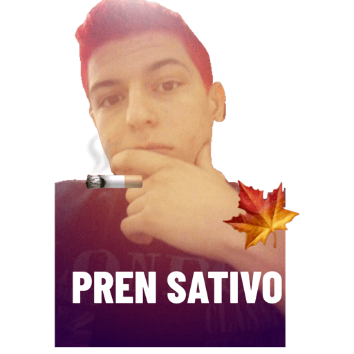 WhatsApp  11