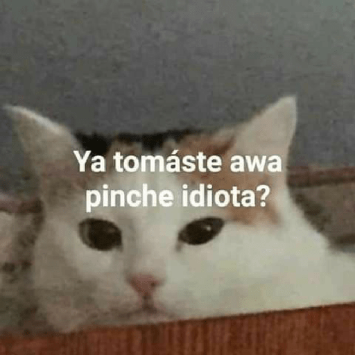 Manzana 13