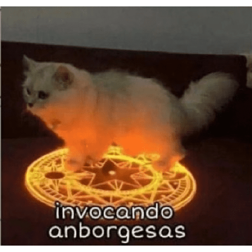 Nombre 7