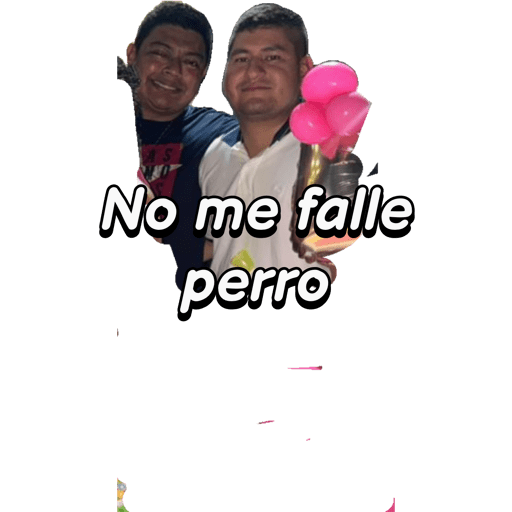 Mis pegatinas 17