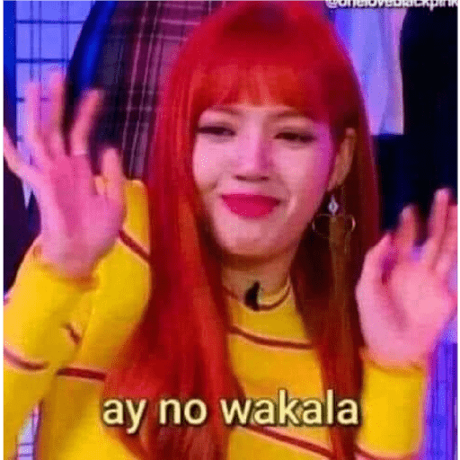 Blackpink 21