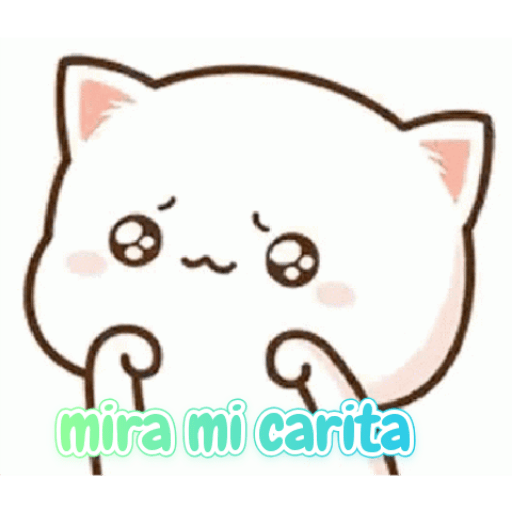 Gatito kawaii 29
