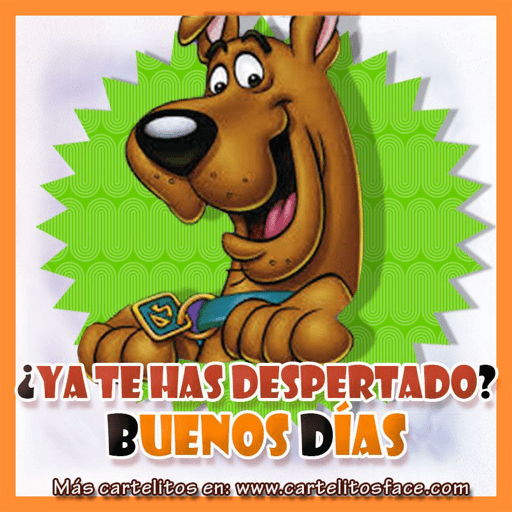 Buenas noches 8