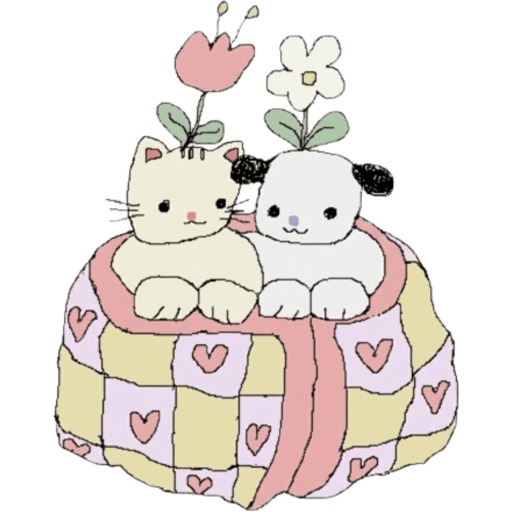 Miau miau core 6