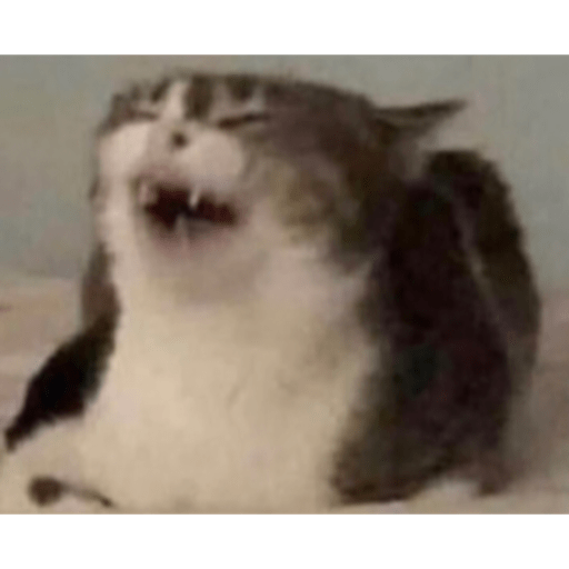Memes e shitpost kkj 9