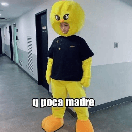 Stray kids 29