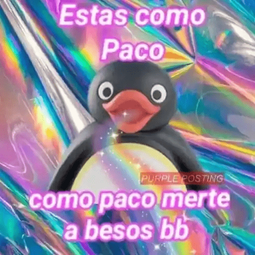 Pingu Memes🐧 20