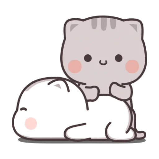 Cutie cat 16
