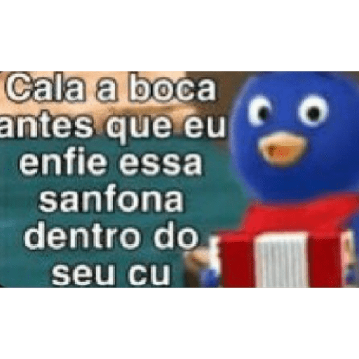 Bear que fez 24
