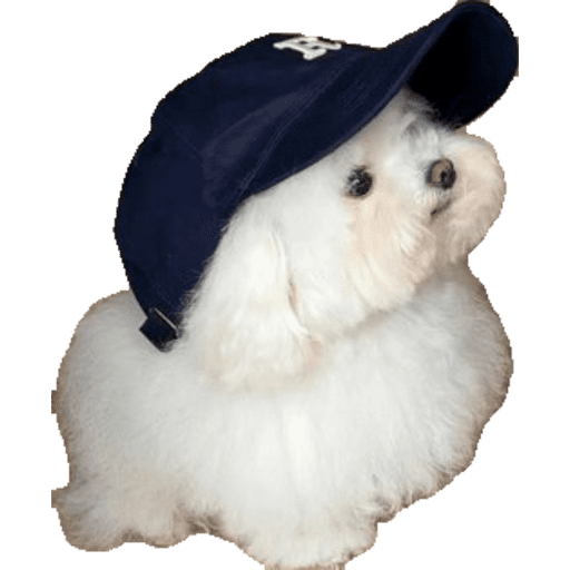 Perritos 4 4