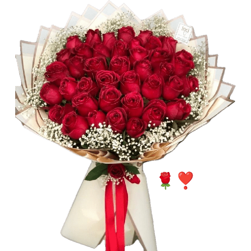 Hayom 🌹 22