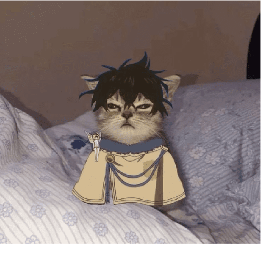 BLACK MEMES CLOVER 11