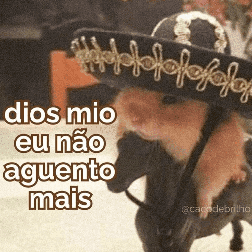 Cuidado com a burra 🤣 16