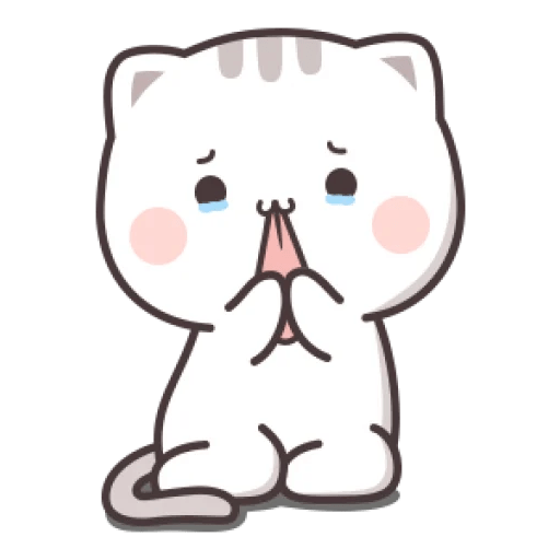 Cutie cat 3