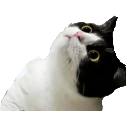 Reações  13