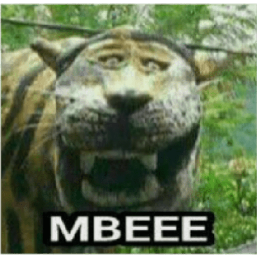 Uvuvwevwevwe 12