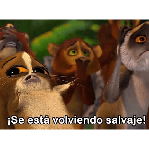 MEMES RANDOM PARTE 38 8
