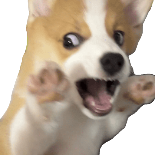 Perritos 4 22