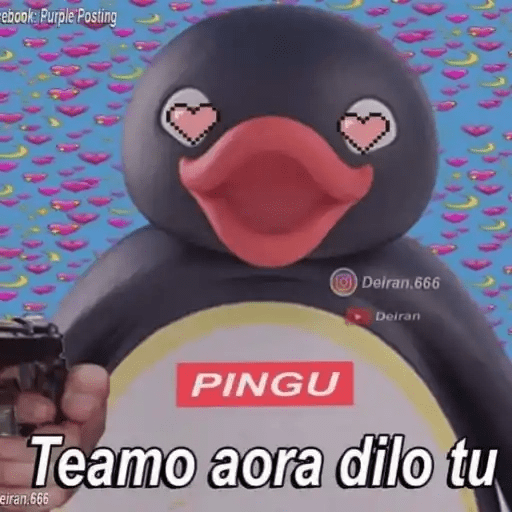 Pingu Memes🐧 12