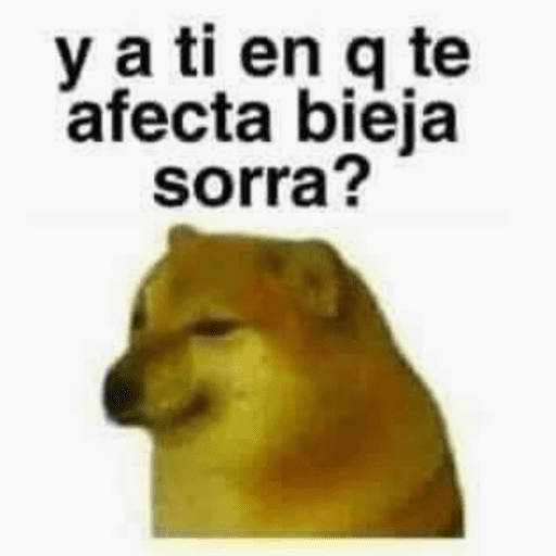 🐍chisme 9