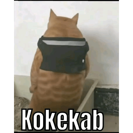 WhatsAppSticker 18
