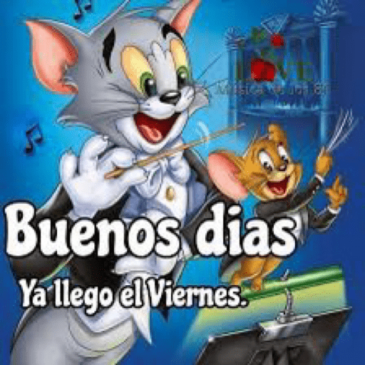 Buenas noches 14