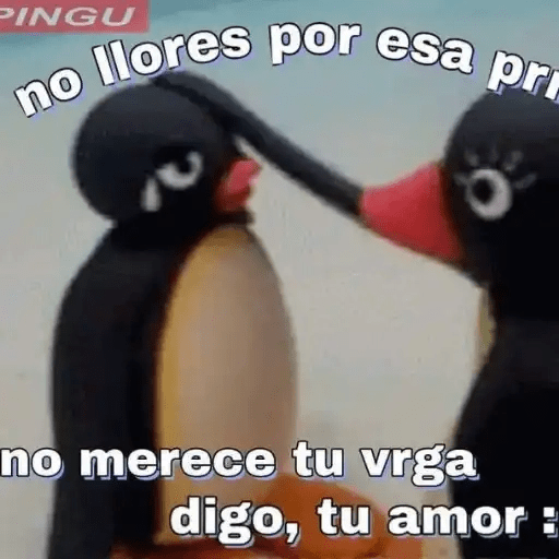 Pingu Memes🐧 17