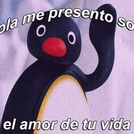 Pingu Memes🐧 19