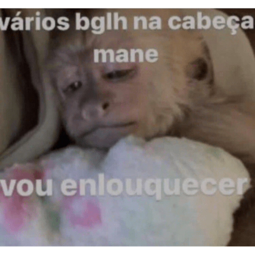 Memes e shitpost kkj 5
