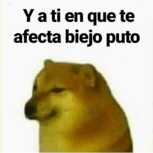 🐍chisme 8