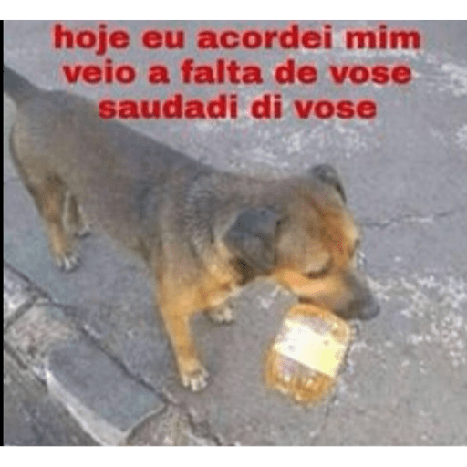 Memes e shitpost kkj 8