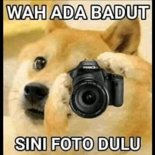 Random meme 6