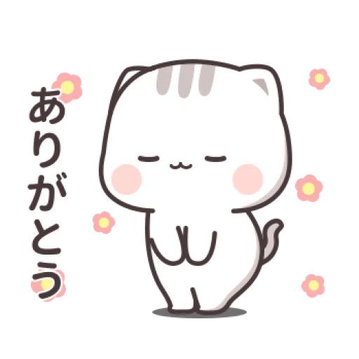 Cutie cat 6
