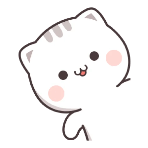 Cutie cat 5