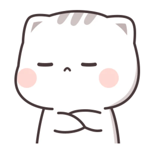 Cutie cat 11