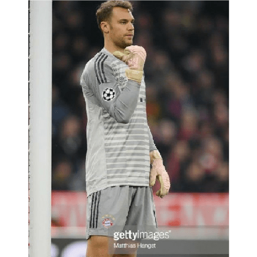 Manuel neuer 29