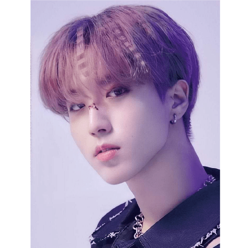 Stray kids 1