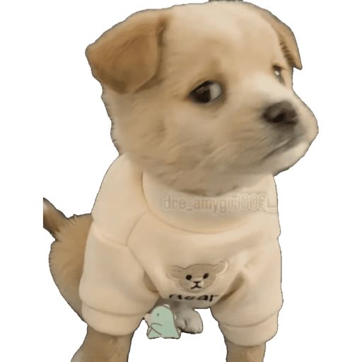 Perritos 4 18