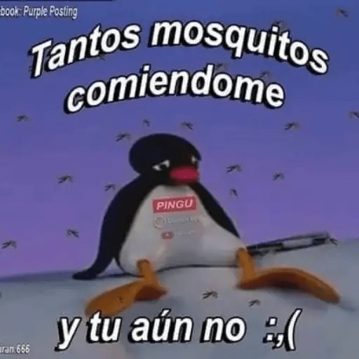 Pingu Memes🐧 1