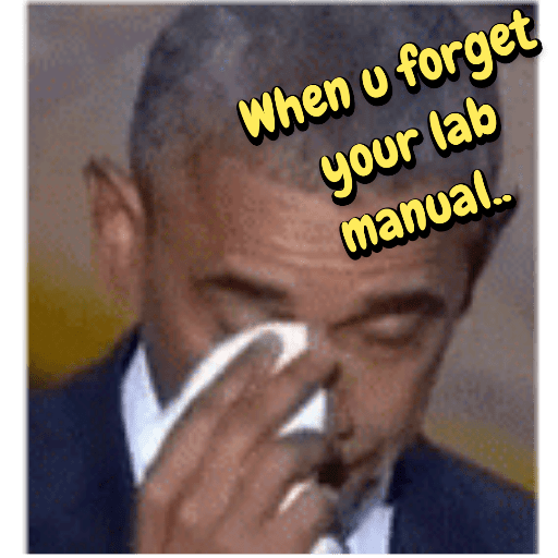 Funny 24