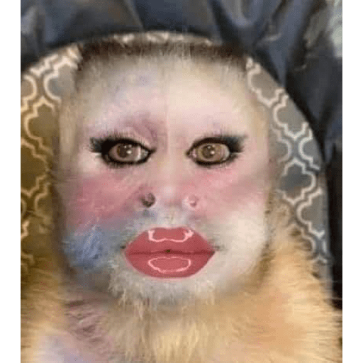 Micos 8