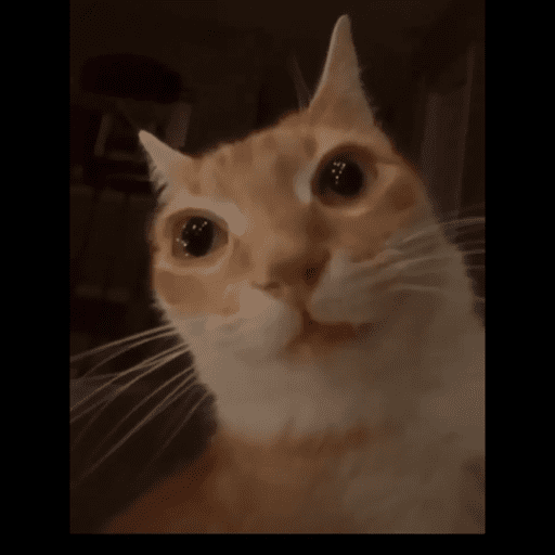 FIGURINHA  8