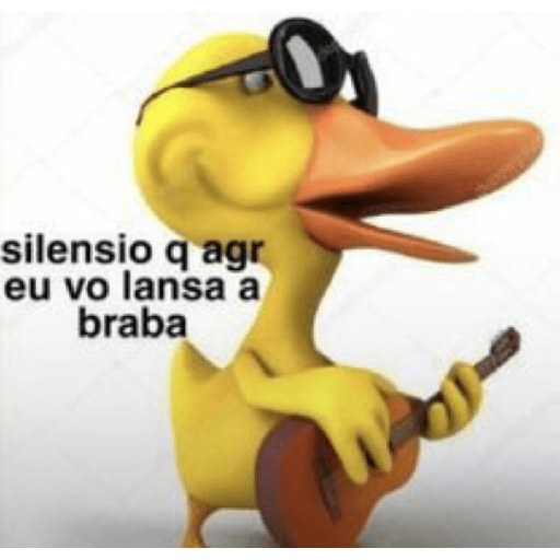 Bear que fez 25