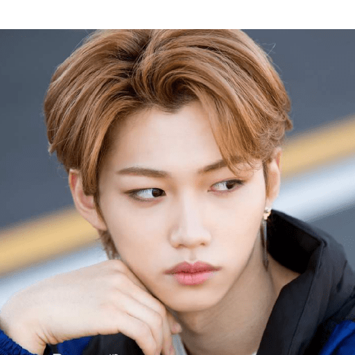 Stray kids 28