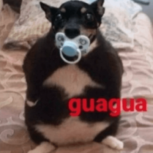 Gatos y perros random  17