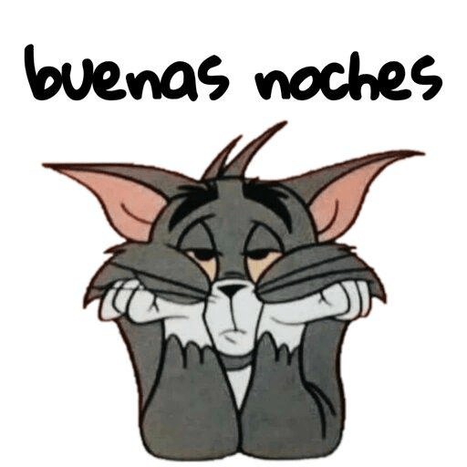 Buenas noches 11