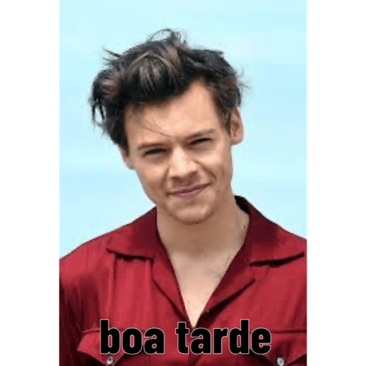 Harry style 17