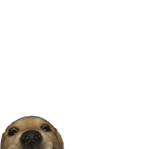 MEMES RANDOM PARTE 76 11