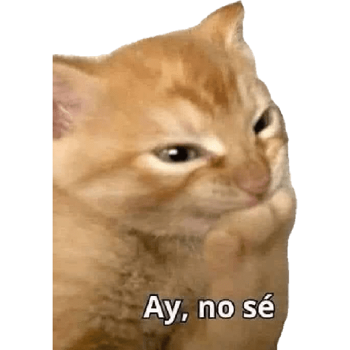 Ai, não sei