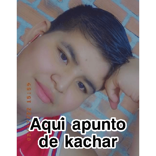 Memes para insultar 9
